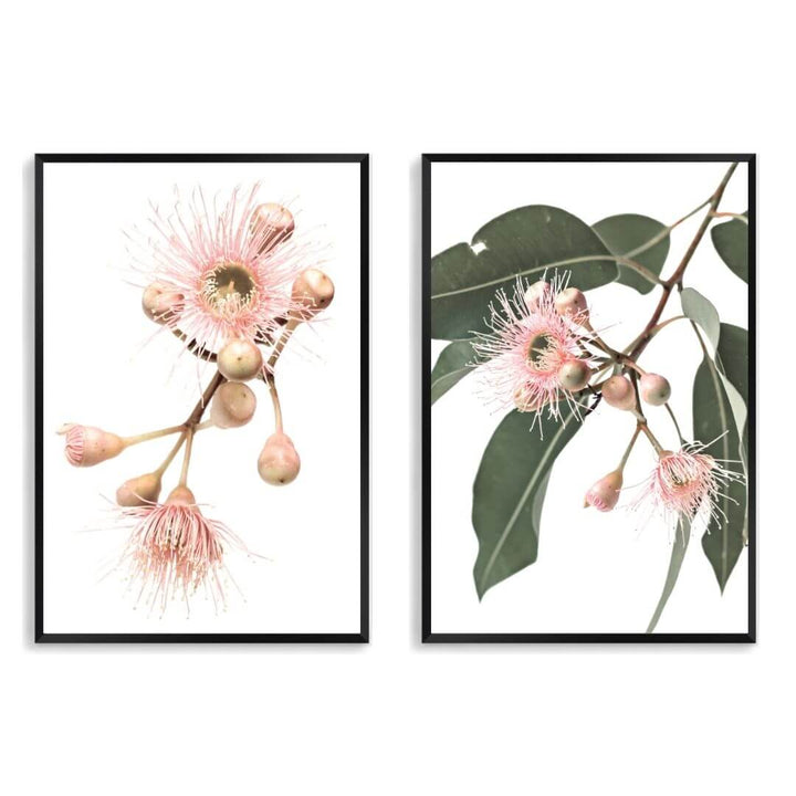 A set of 2 Native Gum Eucalyptus Flower Wall Art Prints with a black frame, no white border at Beautiful Home Decor
