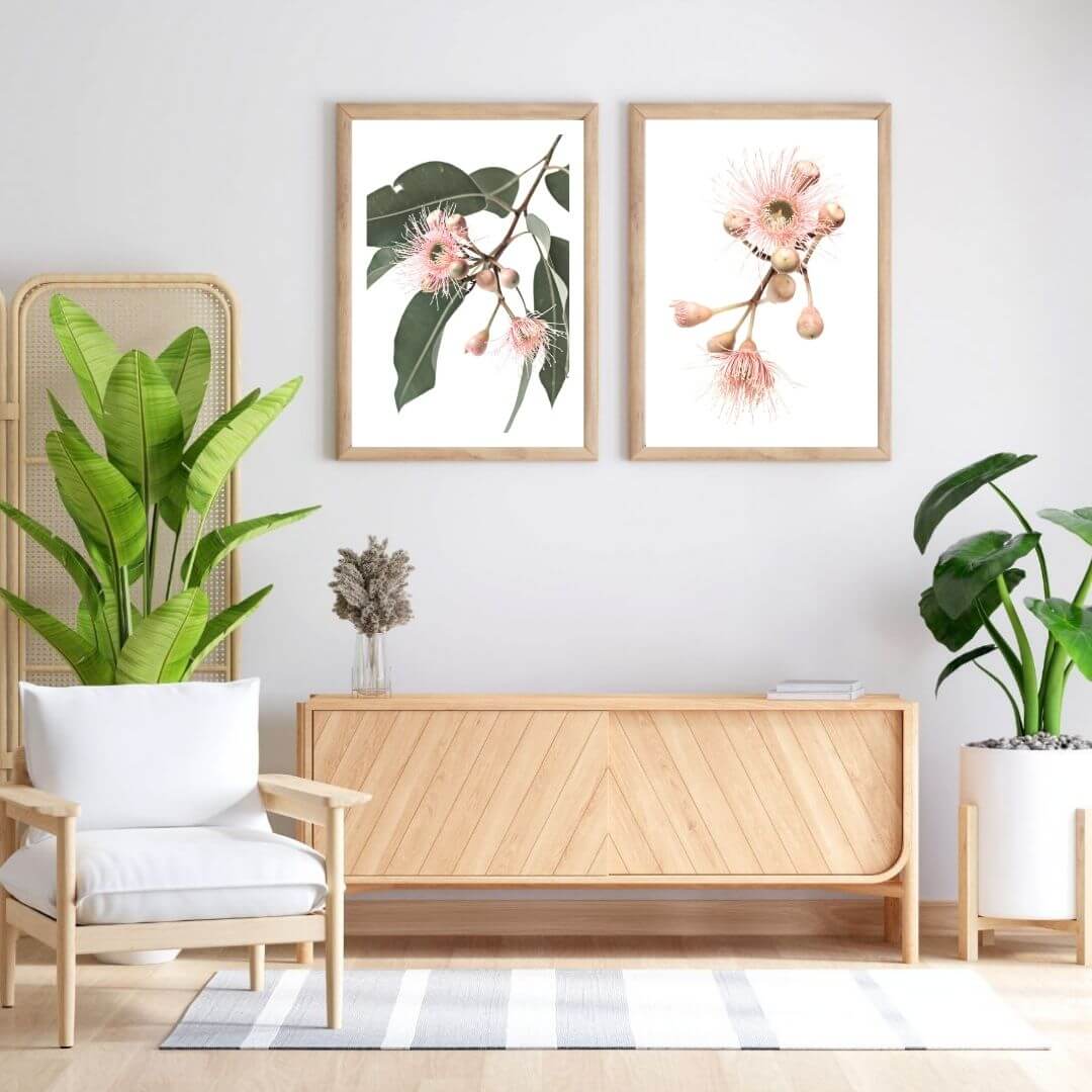 A set of 2 Native Gum Eucalyptus Flower Wall Art Prints with a timber frame to style a coastal Australian empty walls.