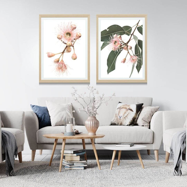 A set of 2 Native Gum Eucalyptus Flower Wall Art Prints with a timber frame for the living room by Beautiful Home Decor