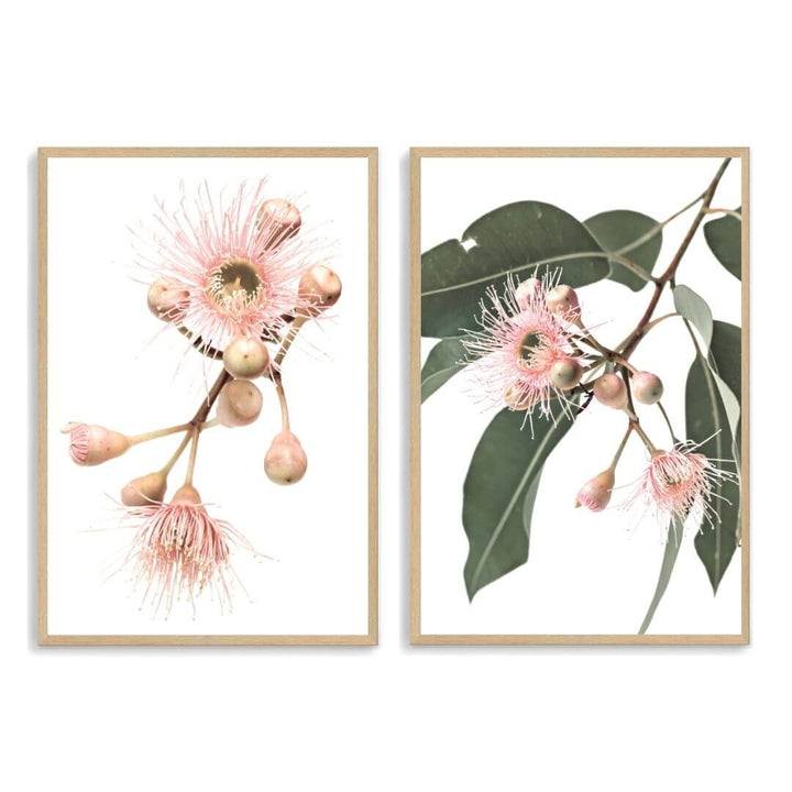 A set of 2 Native Gum Eucalyptus Flower Wall Art Prints with a timber frame, no white border at Beautiful Home Decor