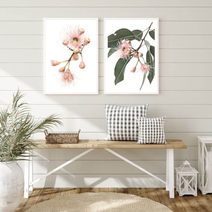 A set of 2 Native Gum Eucalyptus Flower Wall Art Prints with a white frame to decorate your hallway empty walls