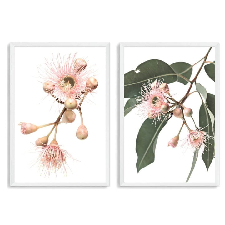 A set of 2 Native Gum Eucalyptus Flower Wall Art Prints with a white frame, no white border at Beautiful Home Decor