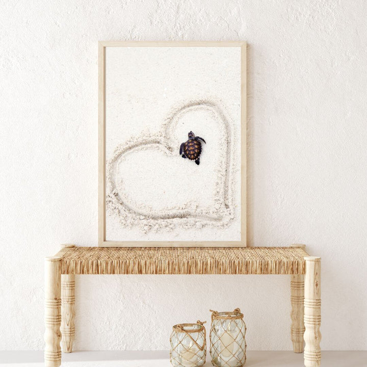 A coastal wall art photo print of a turtle on the beach with a timber frame in hallway shop online at Beautiful Home Decor with free shipping
