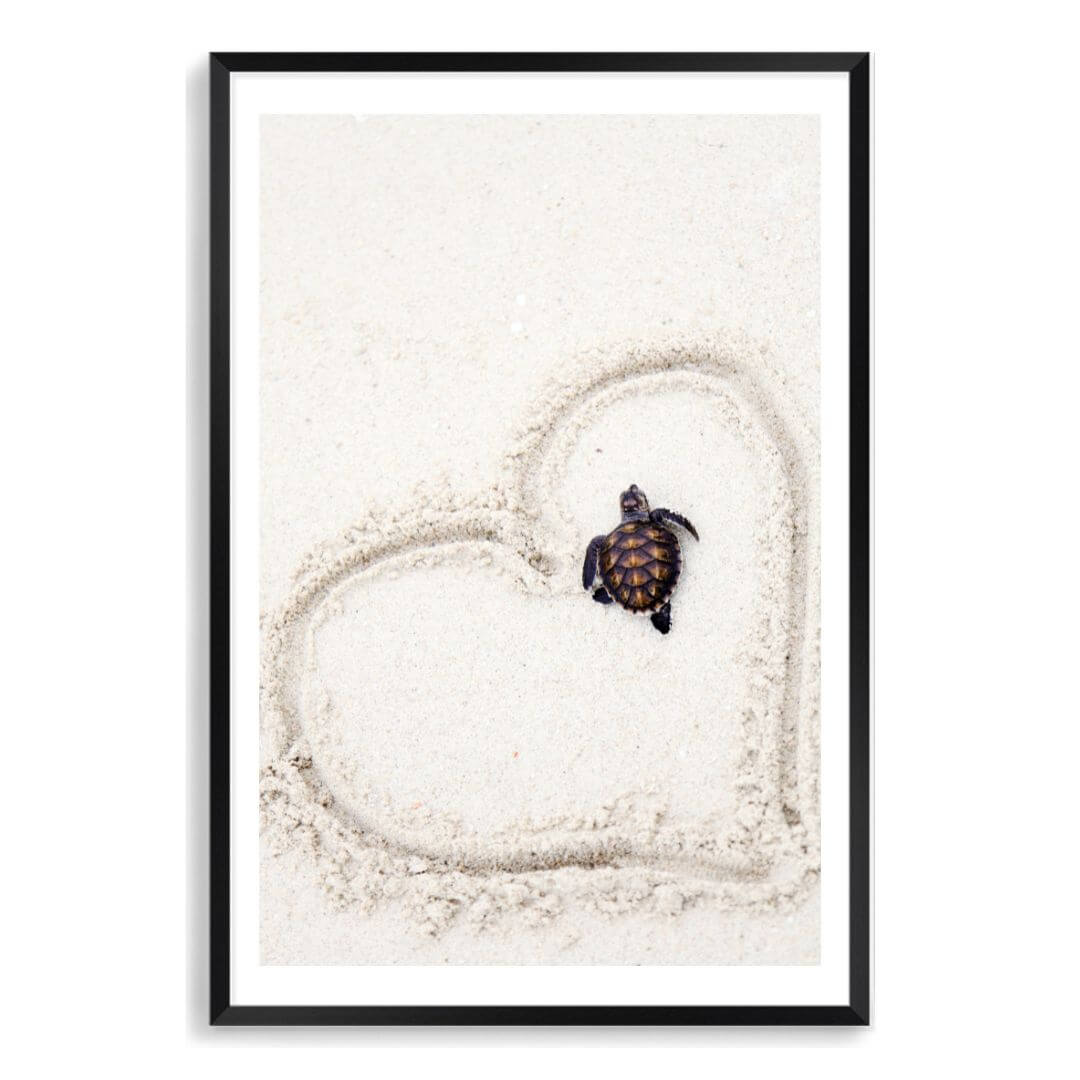 A wall art photo print of a turtle on the beach with a black frame, white border by Beautiful Home Decor