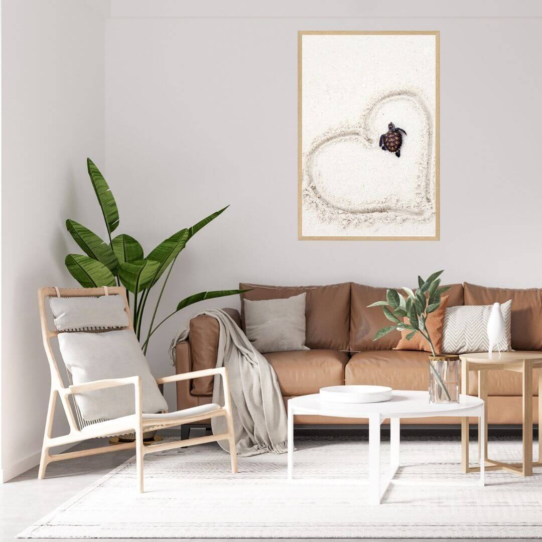A wall art photo print of a turtle on the beach with a timber frame to style a coastal Australian bedroom