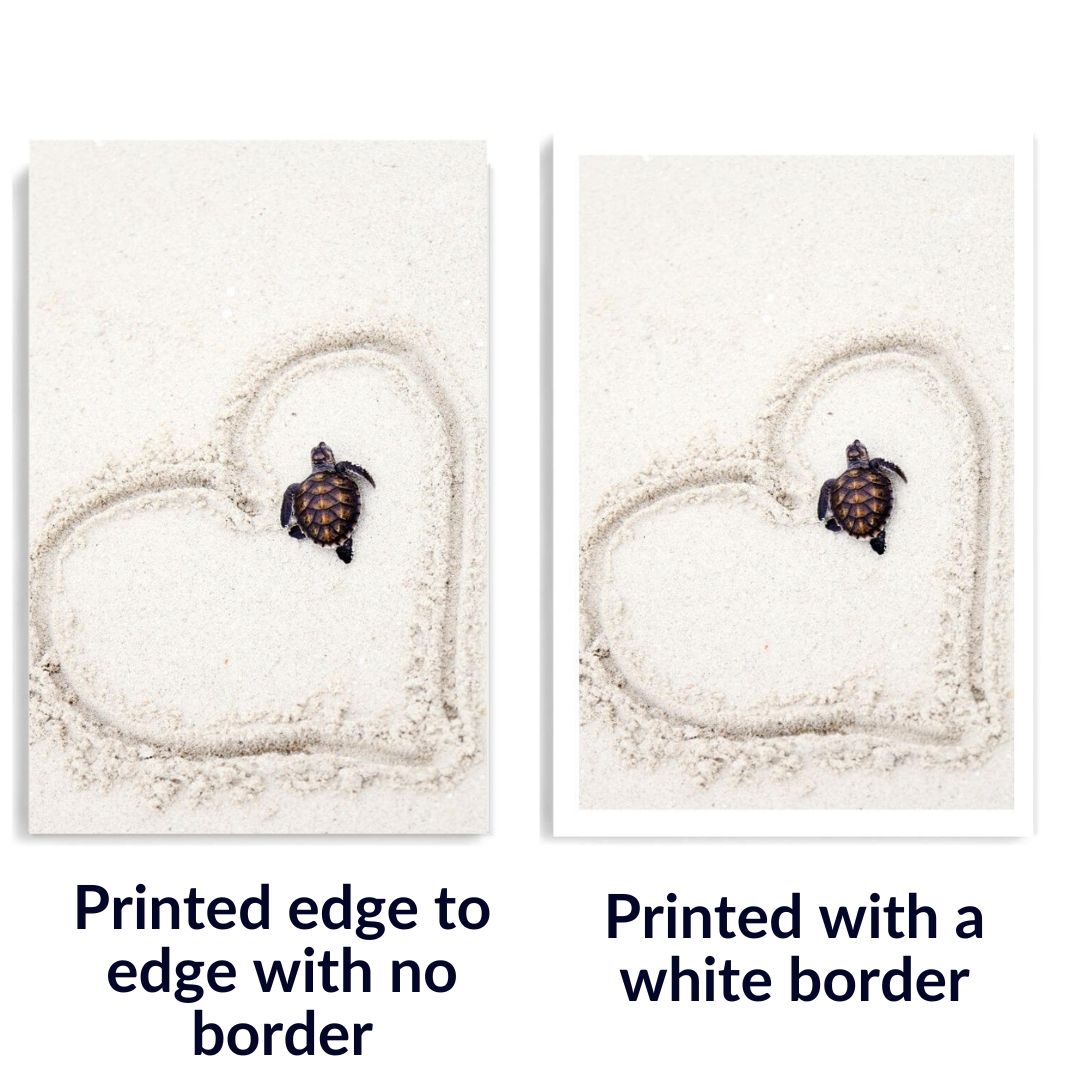 Unframed coastal wall art prints online in Australia, with or without a white border.