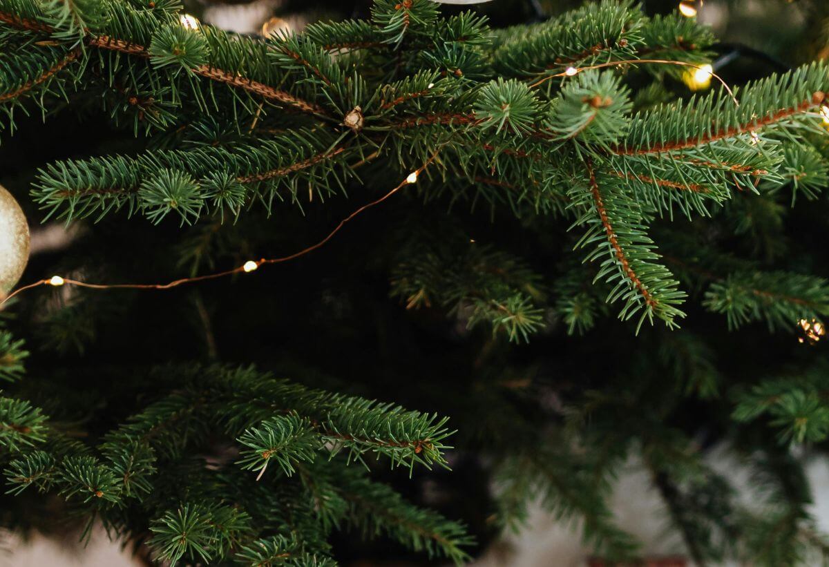 Christmas Planning Tips & Free Printable Checklists 2025