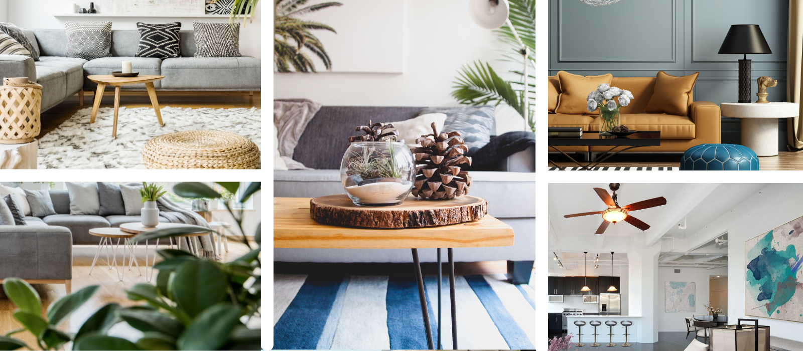 What are Interior Design Styles in Australia 2022 Beautiful Home Decor