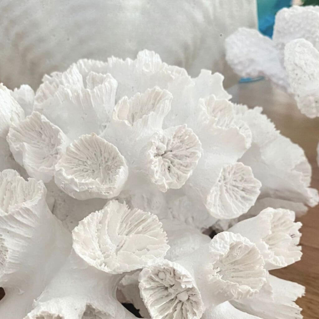 Create a warm welcoming home with gorgeous decor and decorative accessories accents from Beautiful Home Decor Shop online today.