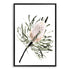 A wall art print of an Australian Native Banksia Floral A with a black frame and white border also available unframed.