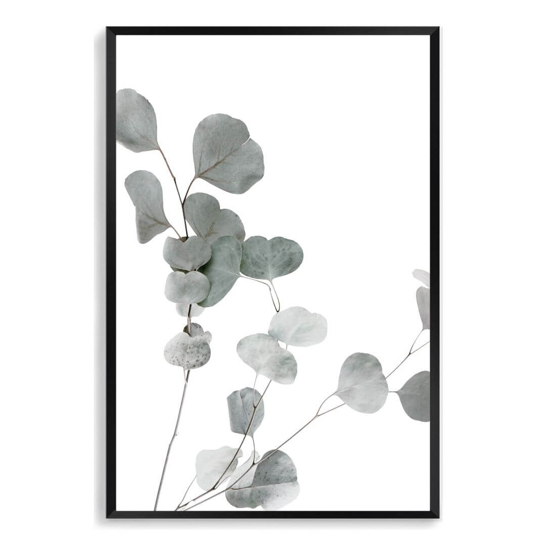 A wall art photo print of an Australian native eucalyptus leaves A with a black frame, no white border at Beautiful HomeDecor