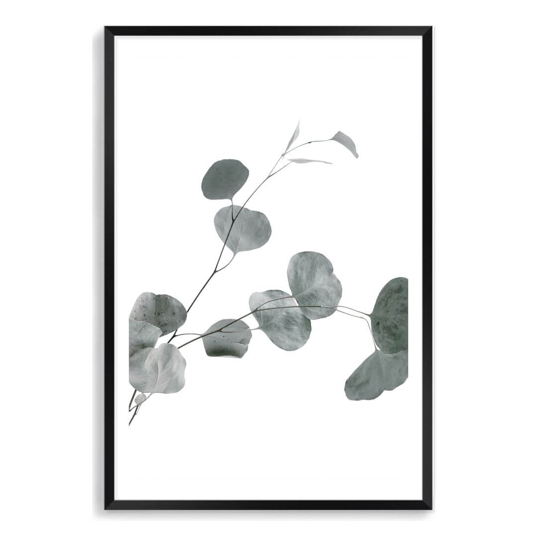 A wall art photo print of an Australian native eucalyptus leaves B with a black frame, white border by Beautiful Home Decor