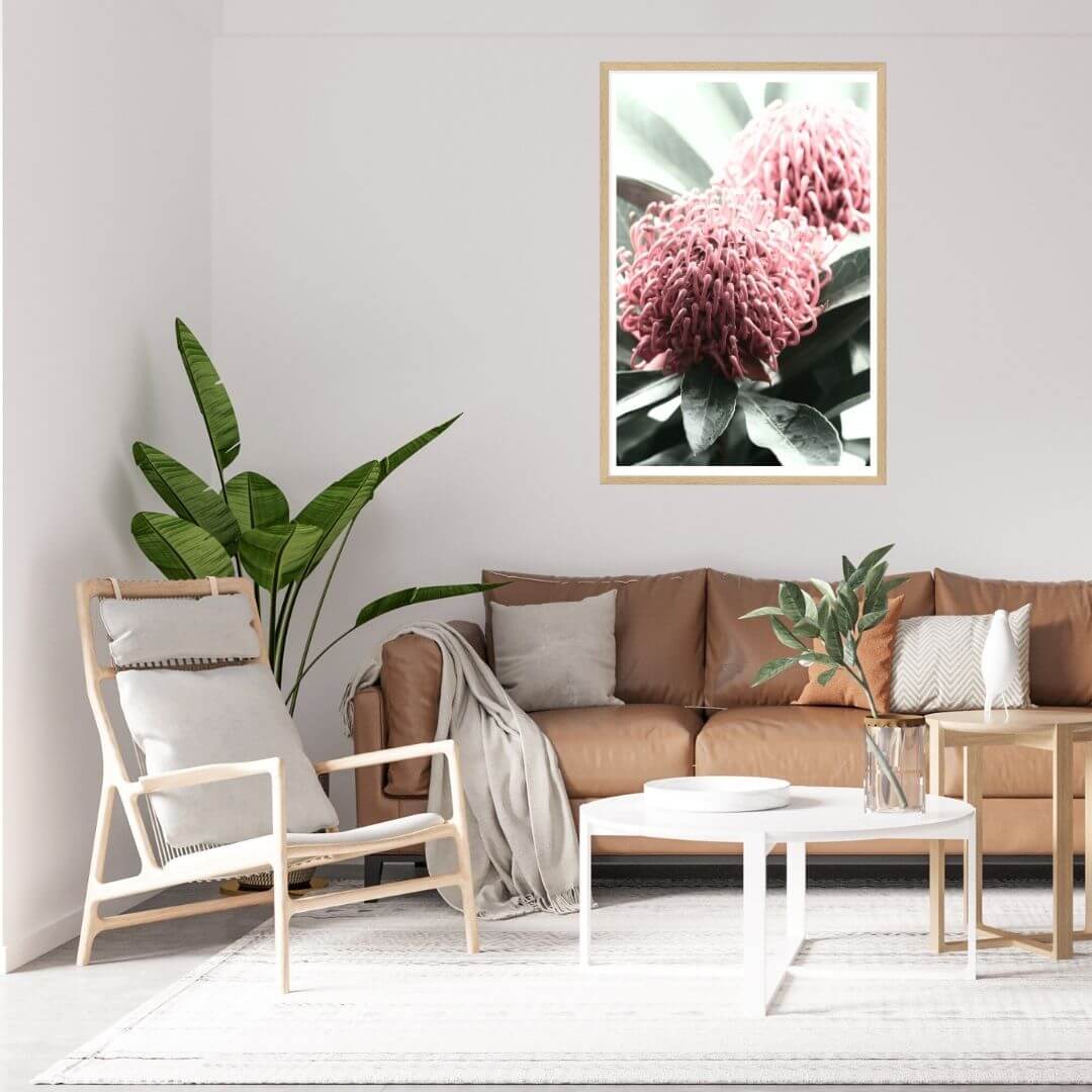 2 Australian Native Waratah Flowers B Wall art photo print with a timber frame to style a wall in living room, a native Australian wall art