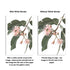 A gallery wall art set of 5 Australian Natives Flowers with or without a white border