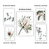 A gallery wall art set of 5 Australian Natives Flowers to decorate your empty walls