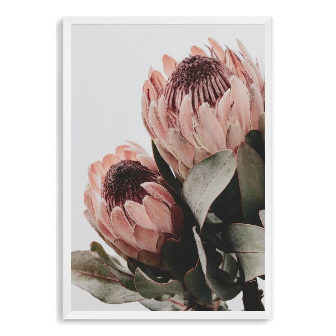 The wall art photo print of a peach protea floral b with a white frame, no white border at Beautiful HomeDecor