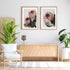 A set of 2 Peach Protea Flowers Floral Wall Art Prints with a timber frame in hallway shop online at Beautiful Home Decor with free shipping