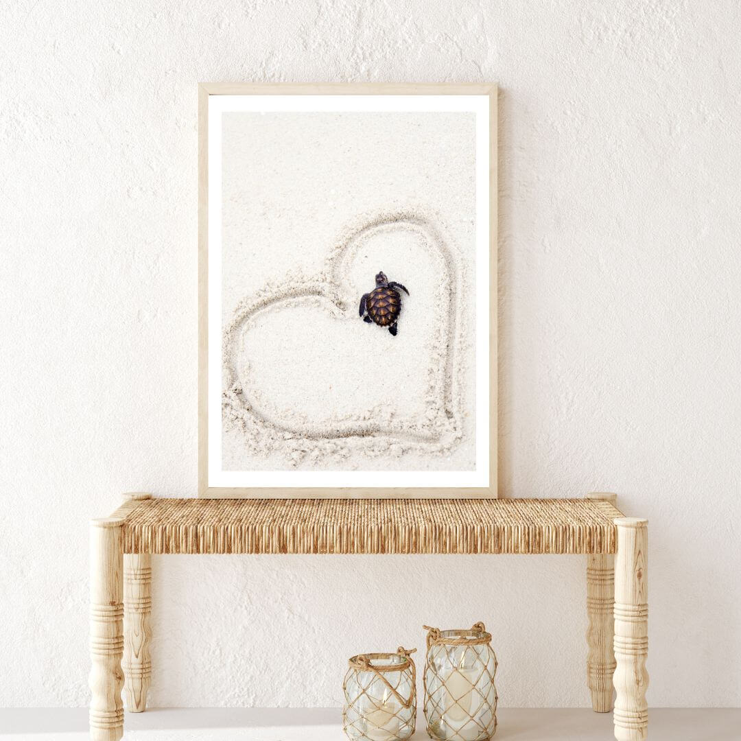 An adorable beach side artwork of a baby turtle on the sand with a heart drawn around it available in print.  