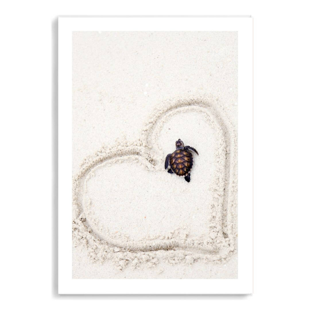 A turtle on the beach wall art print unframed with a white border