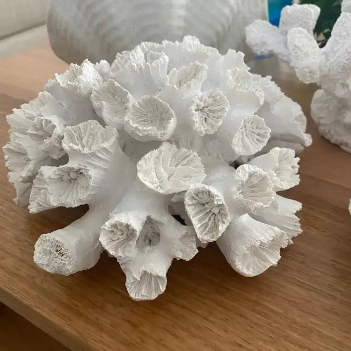 A White anemone fake coral decorative accessory on a wooden table in a coastal-style room, Beautiful Home Decor