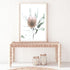 A peach Australian native Banksia flower B are featured in this beautiful floral artwork. 
