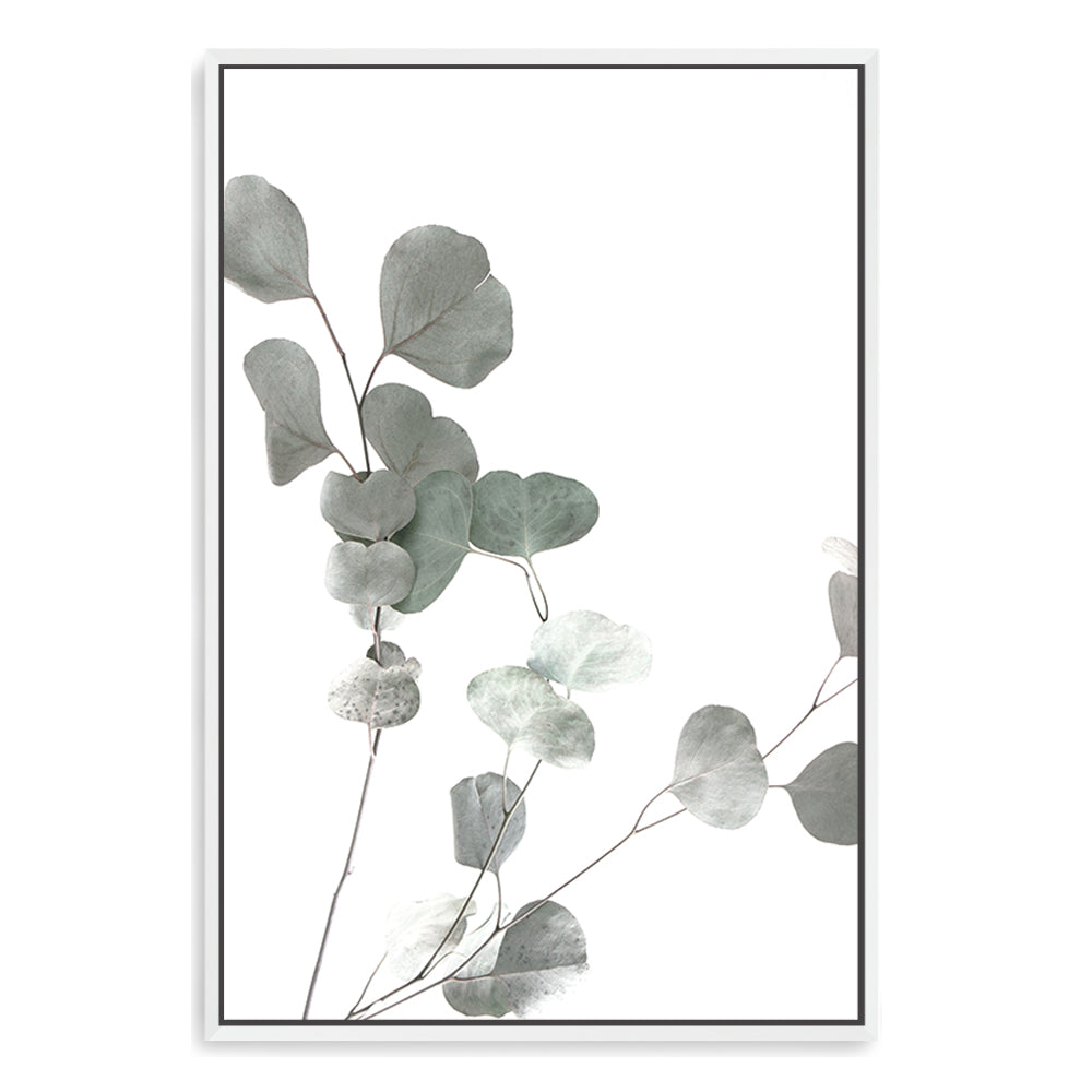 An art print of Australian Native Eucalyptus Leaves A in green muted tones. 