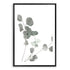 An artwork of Australian Native Eucalyptus Leaves A in green muted tones. 