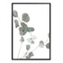 Australian Native Eucalyptus Leaves A in green muted tones, available as a photographic wall art print.