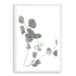 This beautiful wall art print features Australian Native Eucalyptus Leaves A in green muted tones. 