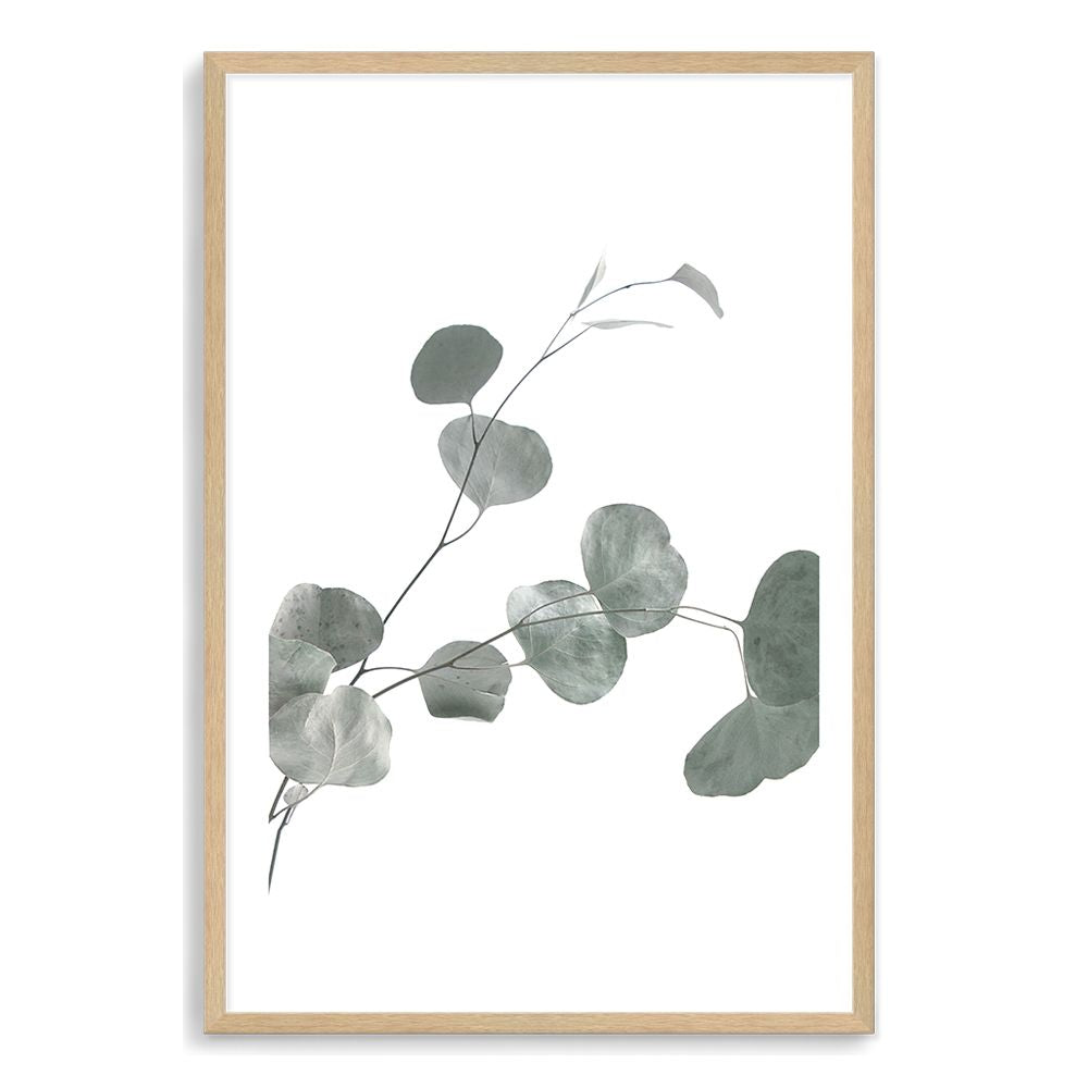 The lovely green muted tones of the Australian Native Eucalyptus Leaves B in a wall art print.