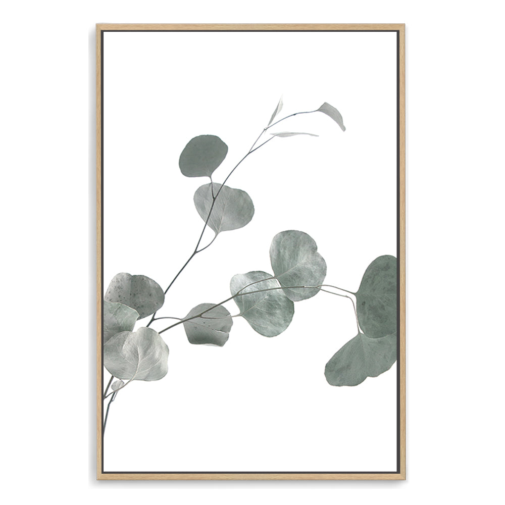 A framed or unframed artwork of the lovely green muted tones of the Australian Native Eucalyptus Leaves B.