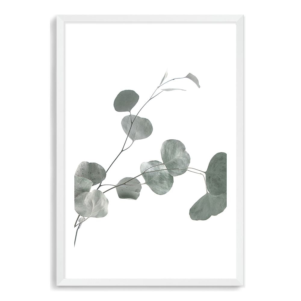 An art print of the lovely green muted tones of the Australian Native Eucalyptus Leaves B. 