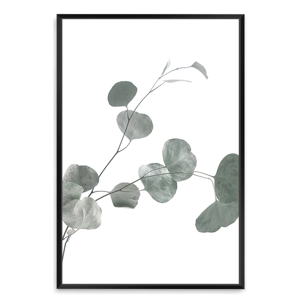 This art print features the lovely green muted tones of the Australian Native Eucalyptus Leaves B. 