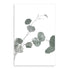 An artwork of the lovely green muted tones of the Australian Native Eucalyptus Leaves B. 