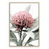 A photo floral wall art featuring a beautiful red Australian native waratah flower A and muted green leaves in the background, available framed or unframed.