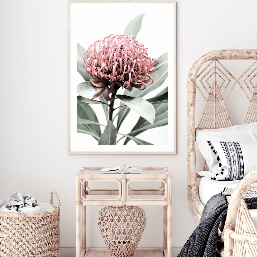 Enjoy the beautiful red of the Australian native Waratah flower A with this wall art print, the green muted tone of the leaves finish off this beautiful floral wall art perfectly