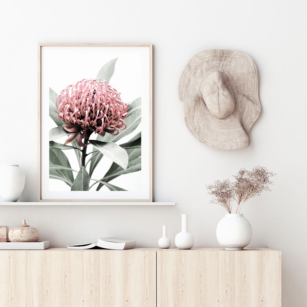 A beautiful floral artwork of a beautiful red Australian native waratah flower A and muted green leaves in the background, available framed or unframed.