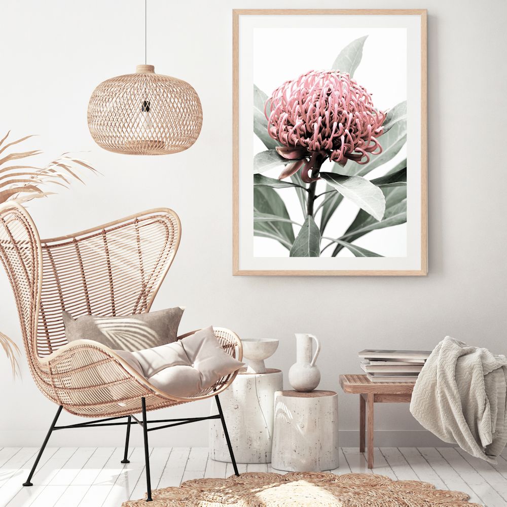 A stretched canvas floral wall art print featuring a beautiful red Australian native waratah flower A and muted green leaves in the background, available framed or unframed.