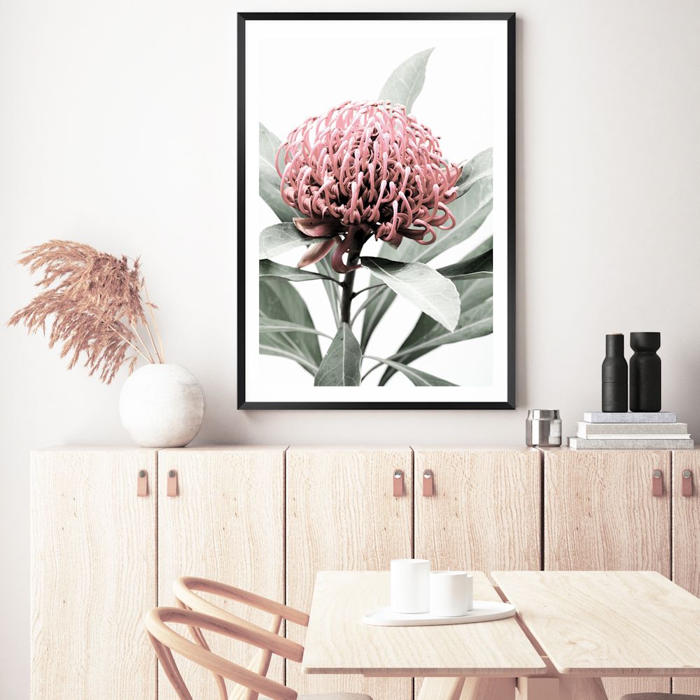 A stretched canvas floral artwork featuring a beautiful red Australian native waratah flower A and muted green leaves in the background, available framed or unframed.