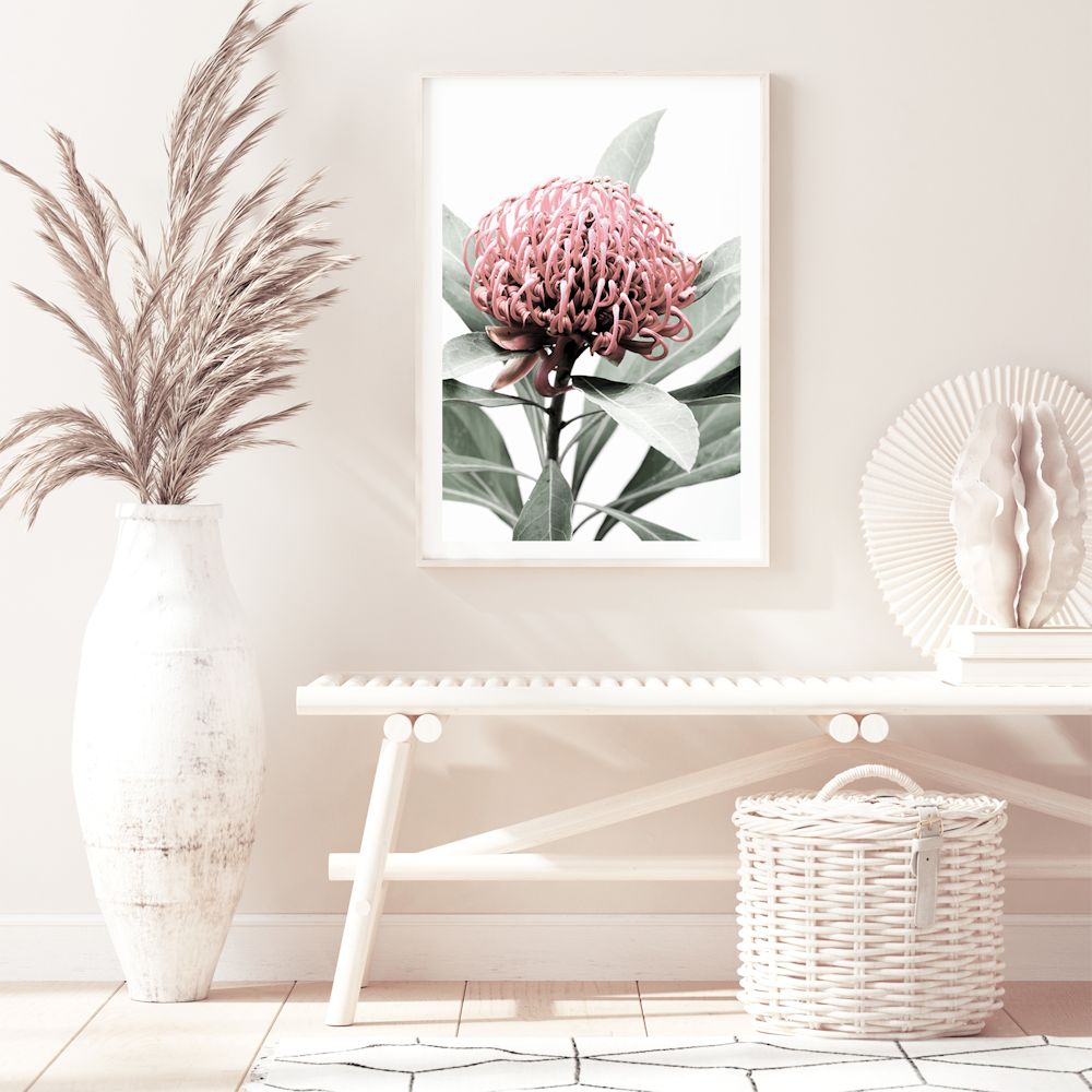 A floral photographic artwork in canvas featuring a beautiful red Australian native waratah flower A and muted green leaves in the background, available framed or unframed.