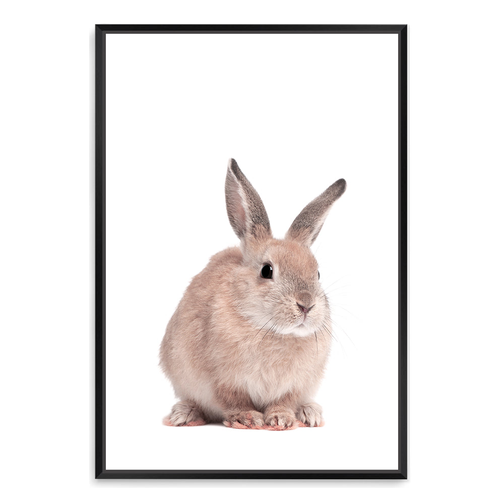 Perfect for your nursery, the Animal Baby Bunny Rabbit photo art print, available in an unframed poster print, stretched canvas or with a timber, white or black frame.