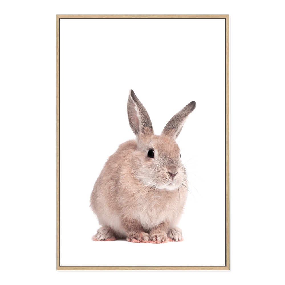 Featuring the cute Animal Baby Bunny Rabbit photo art print, available in an unframed poster print, stretched canvas or with a timber, white or black frame.