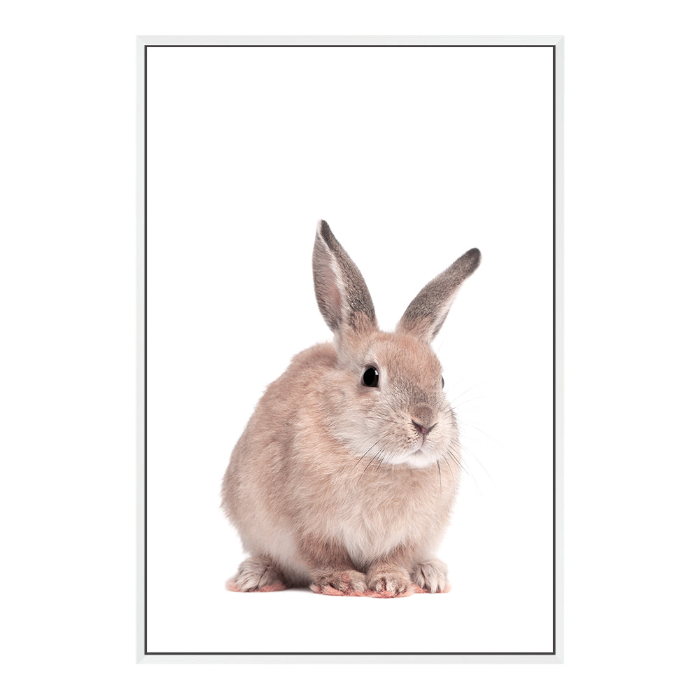 Featuring the Animal Baby Bunny Rabbit photo art print, available in an unframed poster print, stretched canvas or with a white,  timber, or black frame.