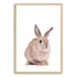 Featuring the Animal Baby Bunny Rabbit photo art print, available in an unframed poster print, stretched canvas or with a timber frame.