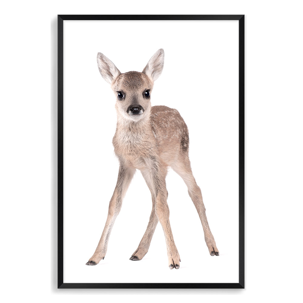 Featuring the Animal Baby Deer photo art print, available in an unframed poster print, stretched canvas or with a black frame.