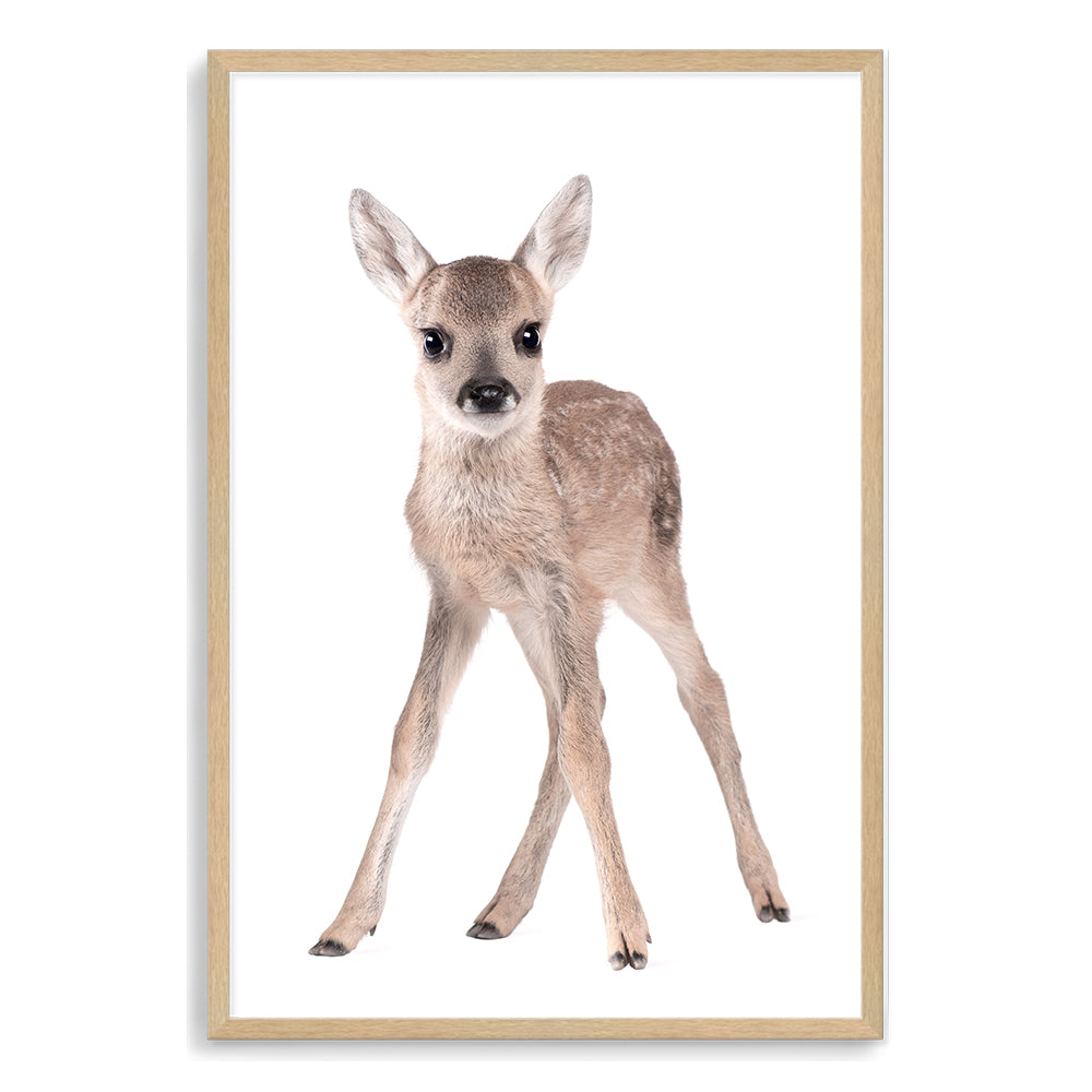 The Animal Baby Deer photo art print, available in an unframed poster print, stretched canvas or with a timber, white or black frame.