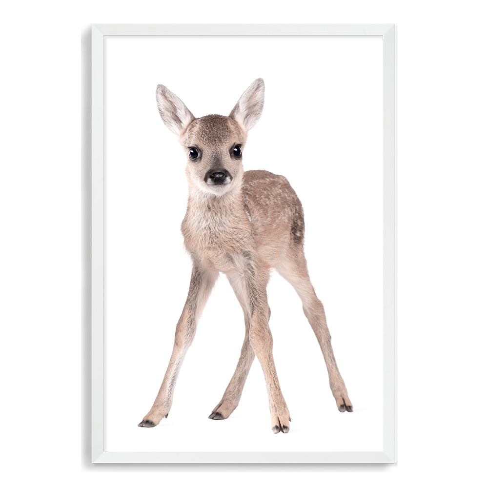 Featuring the Animal Baby Deer photo art print, available in an unframed poster print, stretched canvas or with a timber, white and black frame.