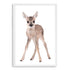 Featuring the Animal Baby Deer photo art print, available in an unframed poster print, stretched canvas or with a timber, white and black frame.
