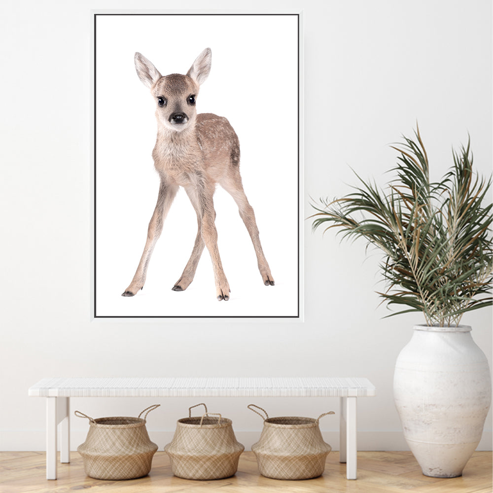 Featuring the Animal Baby Deer photo art print, available in an unframed poster print, stretched canvas or with frame.