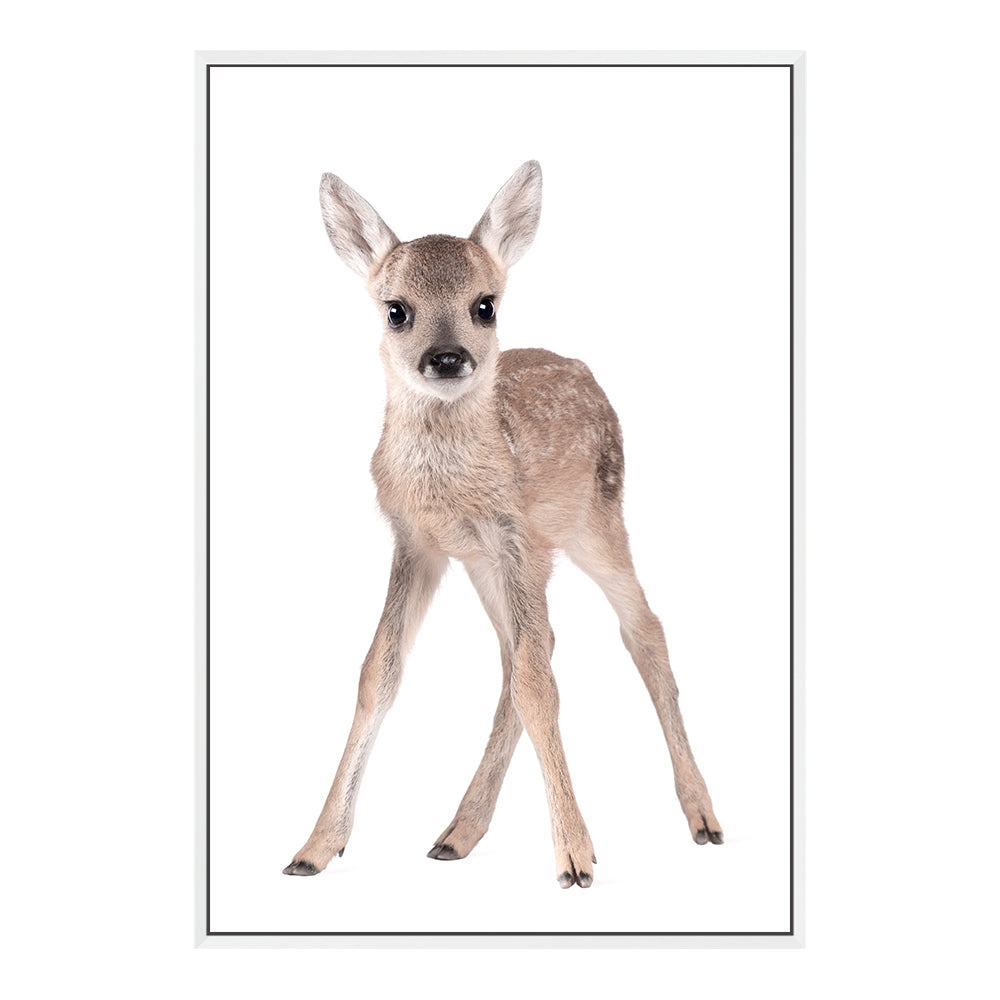 Featuring the Animal Baby Deer photo art print, available in an unframed poster print, stretched canvas or with timber, white, black frames.